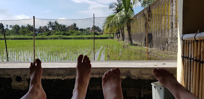 Gianyar 3 Point Spa photo