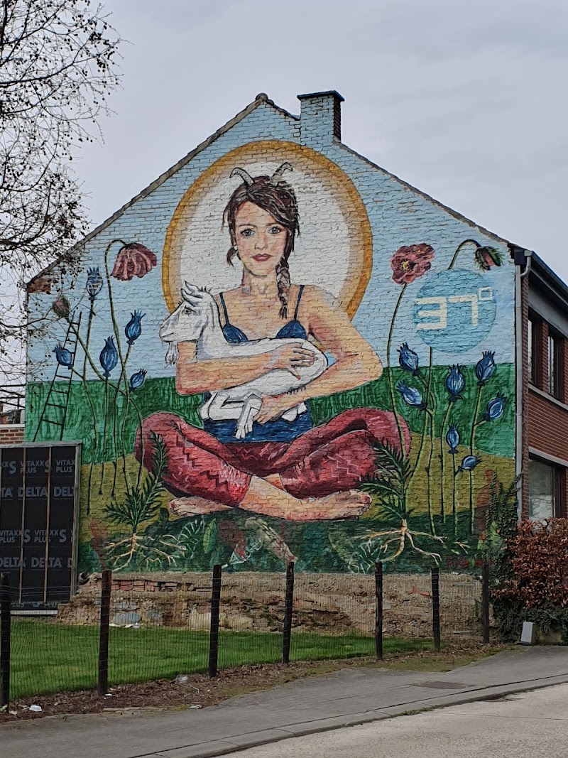 Bilzen 37 graden - Day Spa in Bilzen