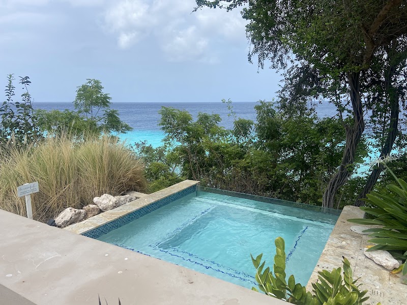 Curaçao 8 The Experience