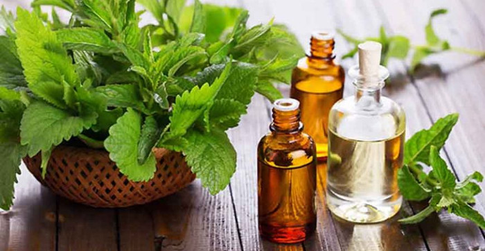 A la recherche du bien-être Maisons-Alfort - Day Spa in Maisons-Alfort