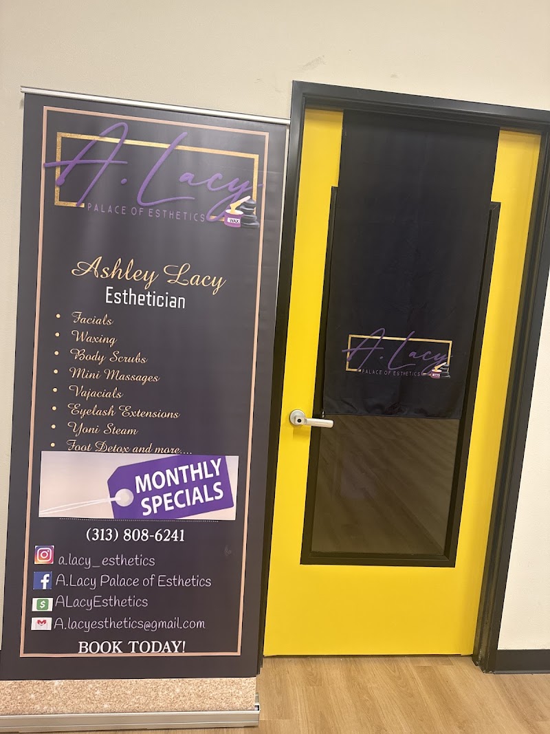 A.Lacy Palace of Esthetics Detroit - Day Spa in Detroit