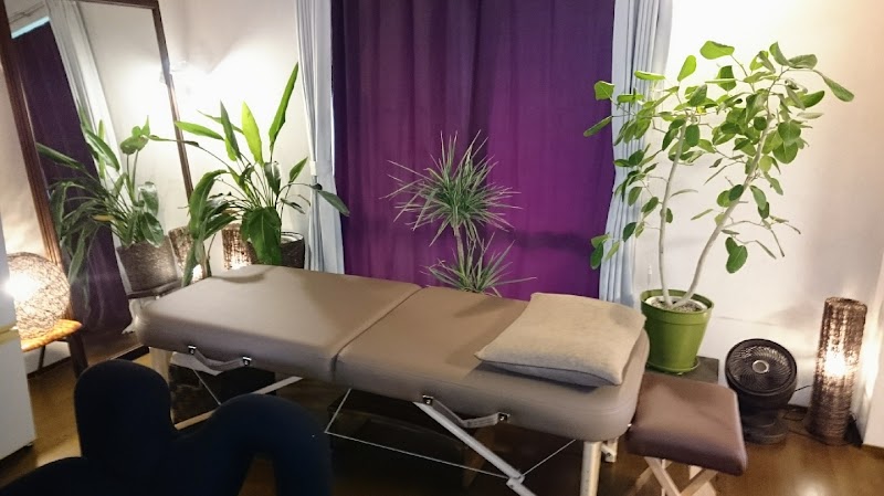 Abiko Seitai Dojo Abiko City - Day Spa in Abiko City