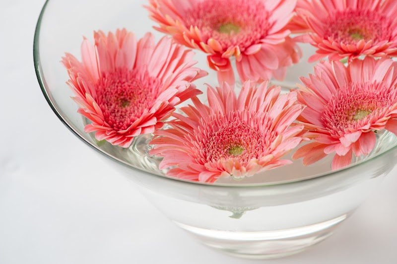 Aesthetics by Marina Nampa - Day Spa in Nampa