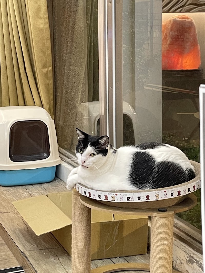 Ai Mei Ge Beauty & Body Spa Lifestyle Center Zhudong Township - Day Spa in Zhudong Township