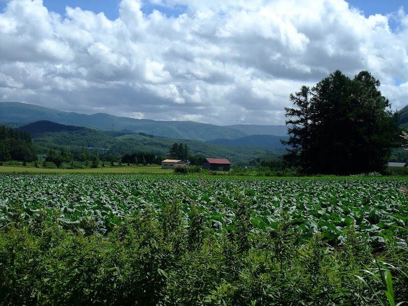 Akaigawa Village Office Akaigawa Caldera Onsen & Recreation Center Yoichi District Akaigawa Village - Thermal Spa in Yoichi District Akaigawa Village
