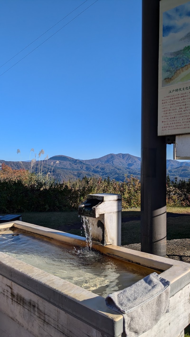 Akakura Onsen Ohno Tenburo Taki no Yu Myoko City - Thermal Spa in Myoko City