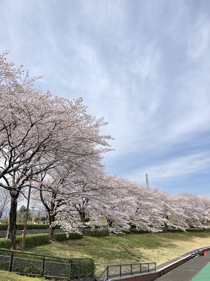 Akiru no Shiki Akiruno City - Day Spa in Akiruno City