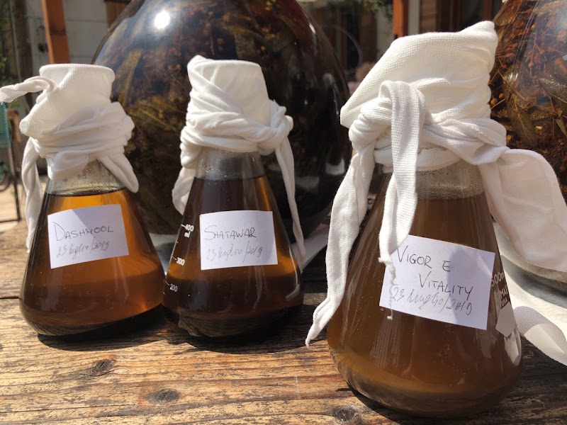 Alchimia Bassano del Grappa - Day Spa in Bassano del Grappa