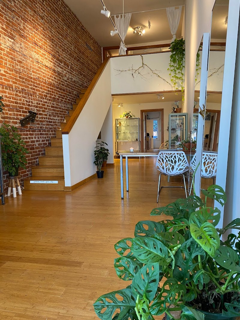 Alexandra's Muse Berkeley photo