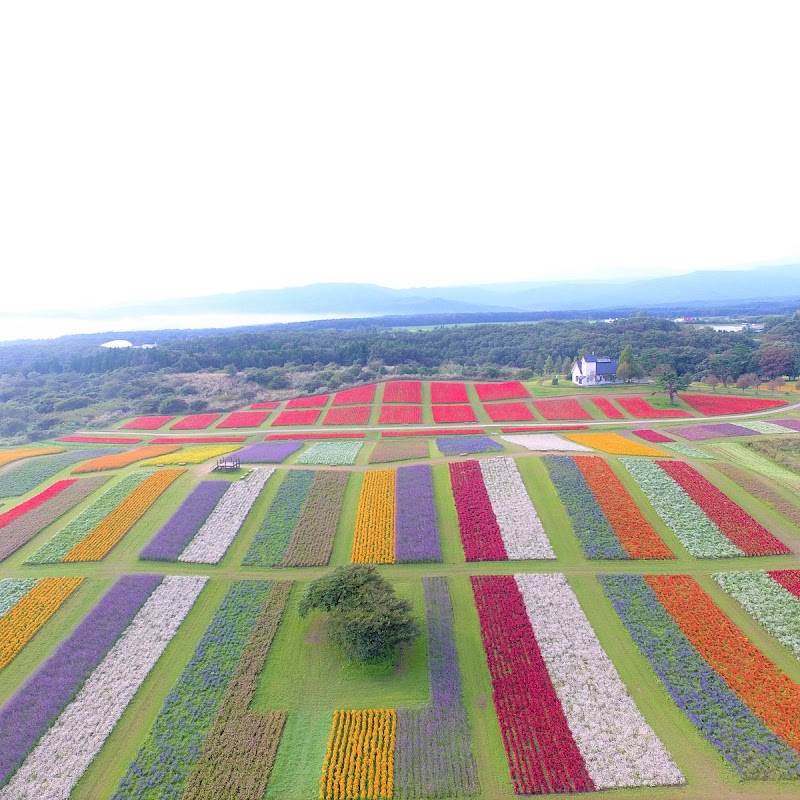 ALICE no Tobira (Alice's Door) Sendai - Day Spa in Sendai