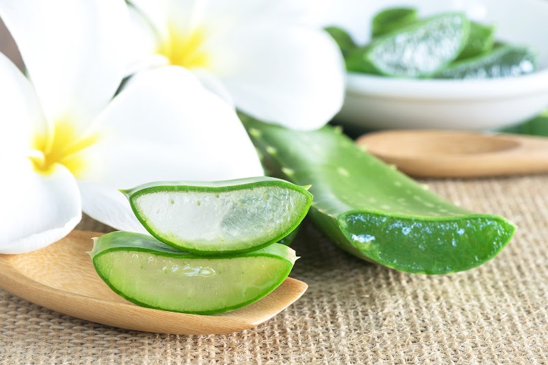 Aloe-vera-world-center Molzhain - Day Spa in Molzhain