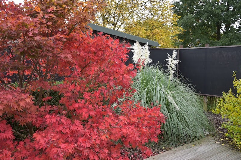 Aloha Dendermonde - Day Spa in Dendermonde