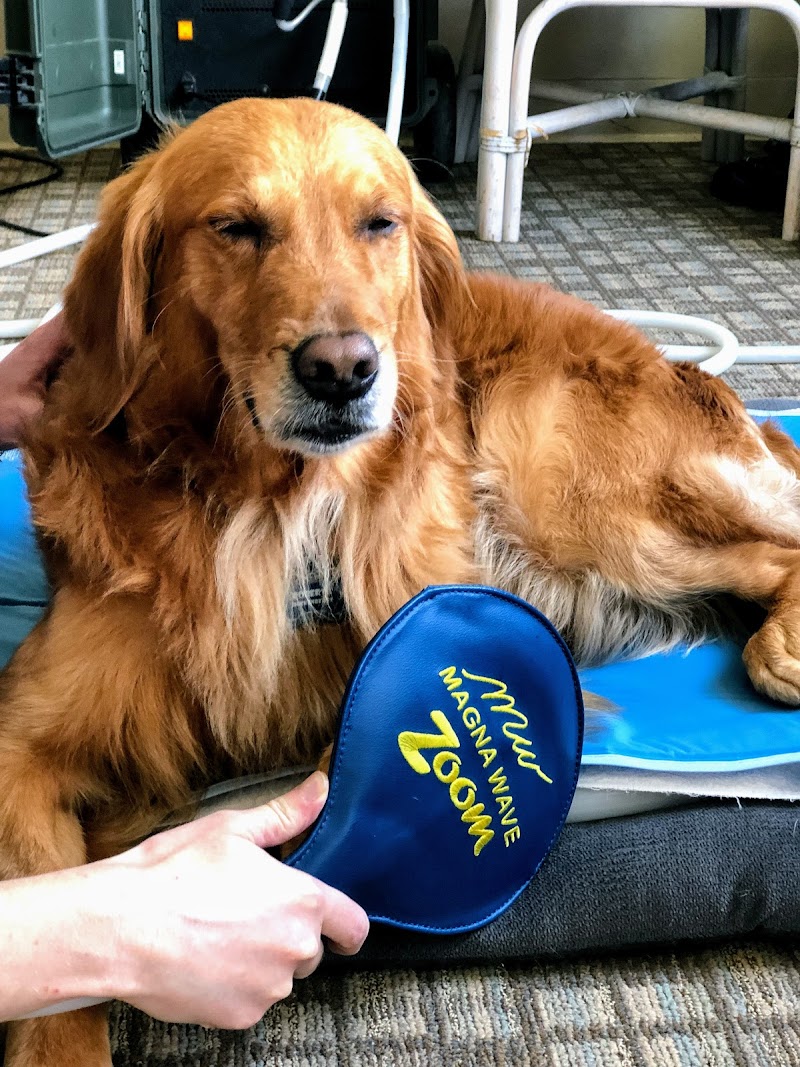 Alpha Sculpt Robinson Twp - Day Spa in Robinson Twp