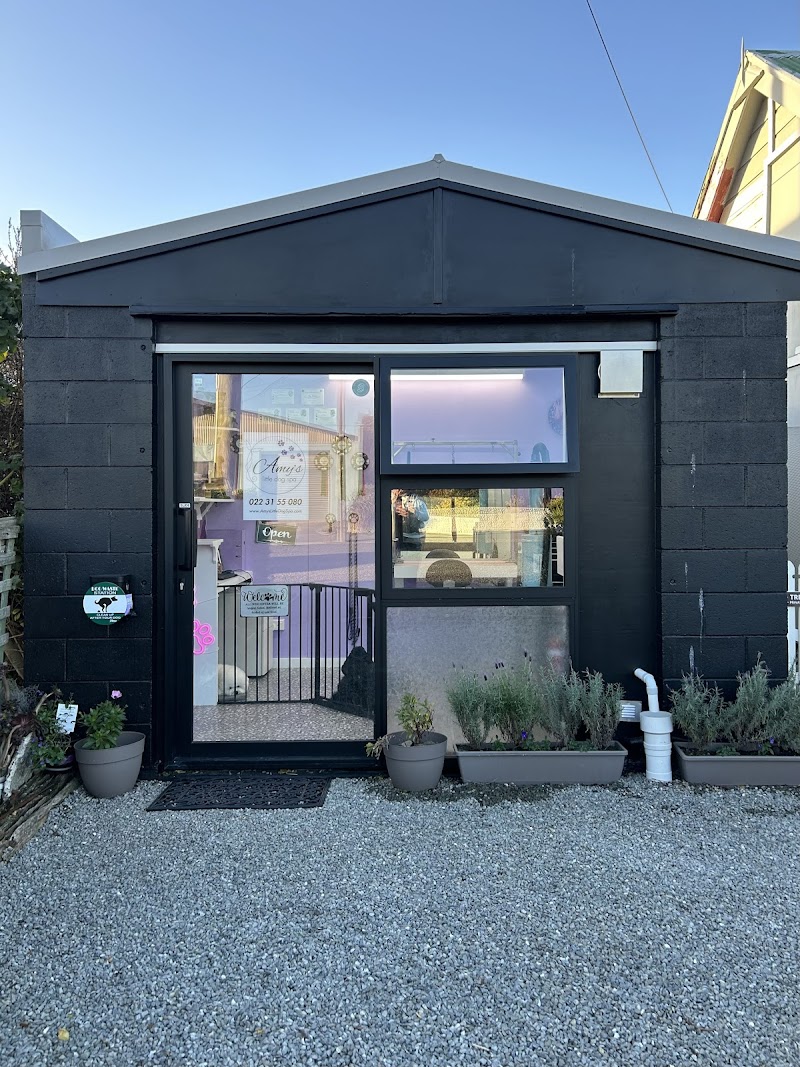 Amy's Doggy Spa Sechelt - Day Spa in Sechelt