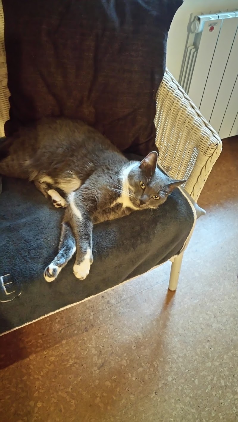 Anne et Frimouss Wissembourg - Day Spa in Wissembourg