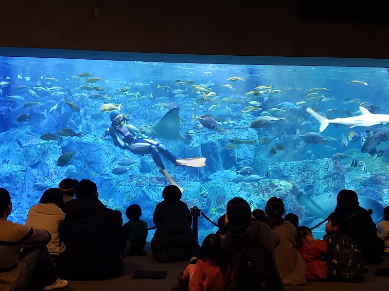 Antinu Oita City - Day Spa in Oita City