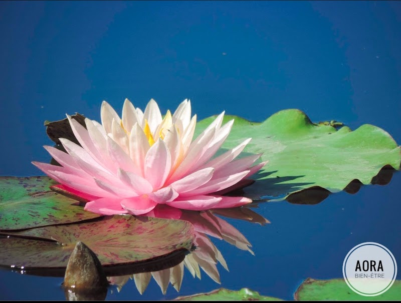 Aora Bien-être Vielle-Tursan - Day Spa in Vielle-Tursan