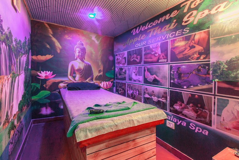 Apple Thai Spa Manali - Medical Spa in Manali
