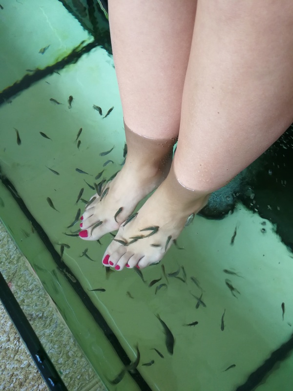 Aquarius Dr.Fish - Spa Baesweiler - Day Spa in Baesweiler