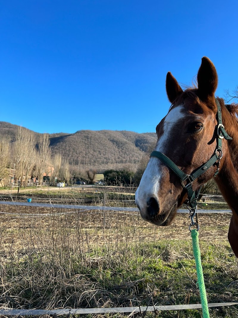 Area Relax - Circolo Ippico del Vivaro Rocca di Papa - Day Spa in Rocca di Papa