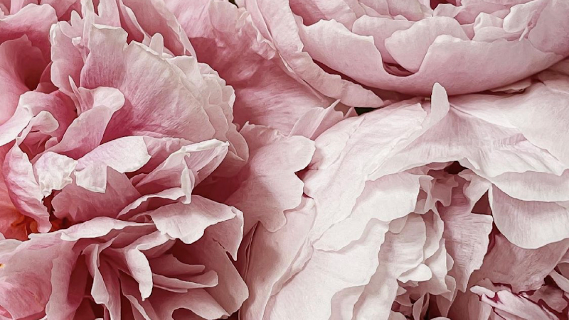 Aroma Muse Arao - Day Spa in Arao