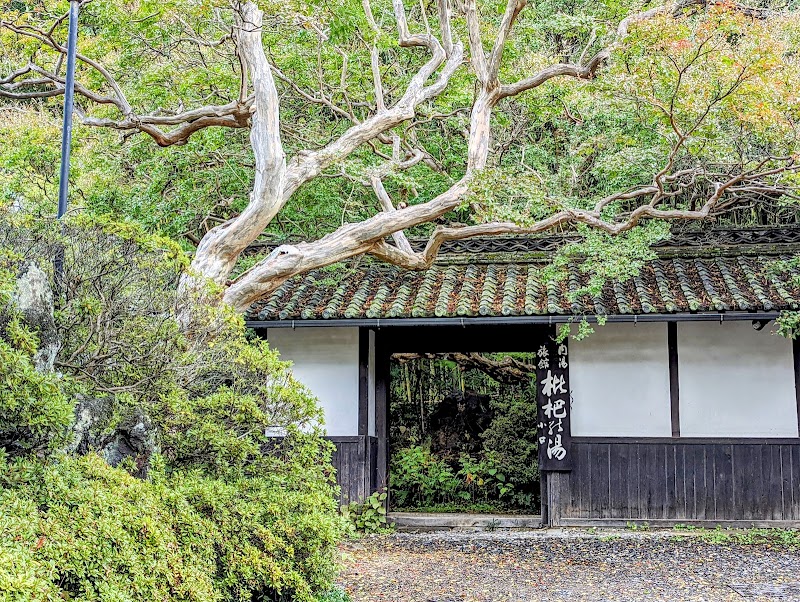 Asama Onsen Biwa no Yu Matsumoto City - Thermal Spa in Matsumoto City