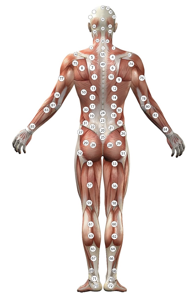 Ashshifa hijama cupping therapy bd Black C - Day Spa in Black C