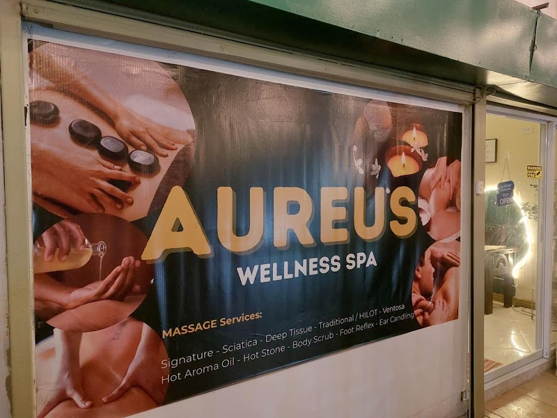 Aureus Wellness Spa Taytay - Wellness Retreat in Taytay