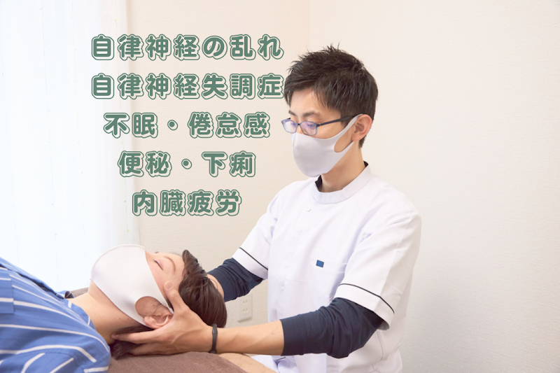 Autonomic Nervous System Specialist Taoyaka Chiropractic Clinic Yao City - Day Spa in Yao City
