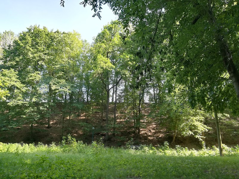 AWS Aroma Wellness Schönheitsstudio Bad Lausick - Wellness Retreat in Bad Lausick