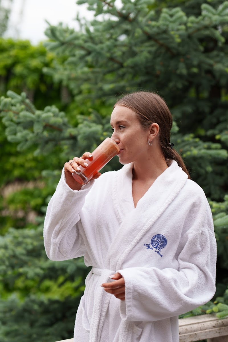 Aya Maria Wellness SPA Resort Dzoraghbyur - Resort Spa in Dzoraghbyur