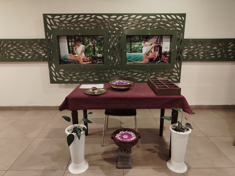 Ayanam Ayurveda Kerala - Medical Spa in Kerala