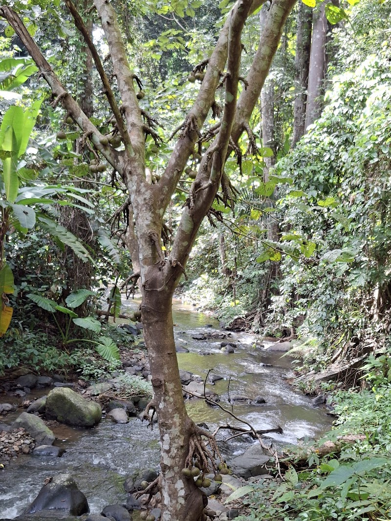 Aytanik Phetchabun Main Branch Next to Big C (Khun Gik) - Day Spa in Phetchabun