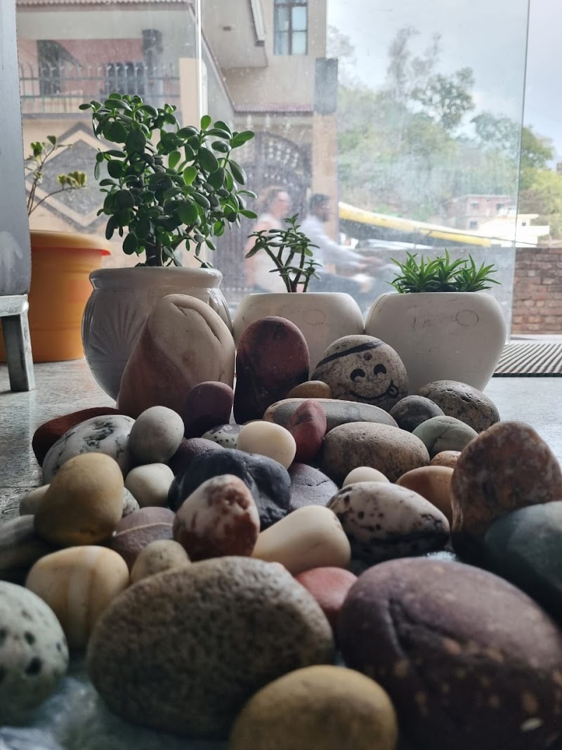 Ayush Arogya Ayurveda Wellness Rishikesh