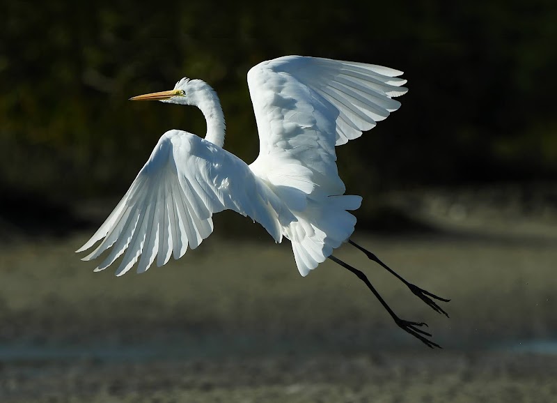 Azul Massage Yuba City - Day Spa in Yuba City