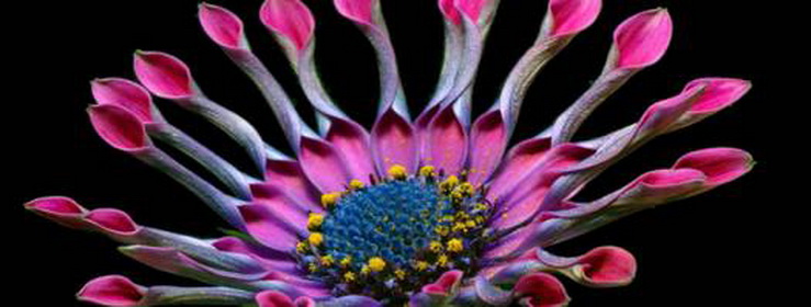 B-Attitude Salon-de-Provence - Day Spa in Salon-de-Provence