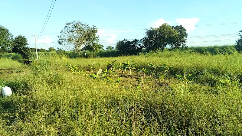 Baan Nong Sai Amphoe Nong Muang - Day Spa in Amphoe Nong Muang