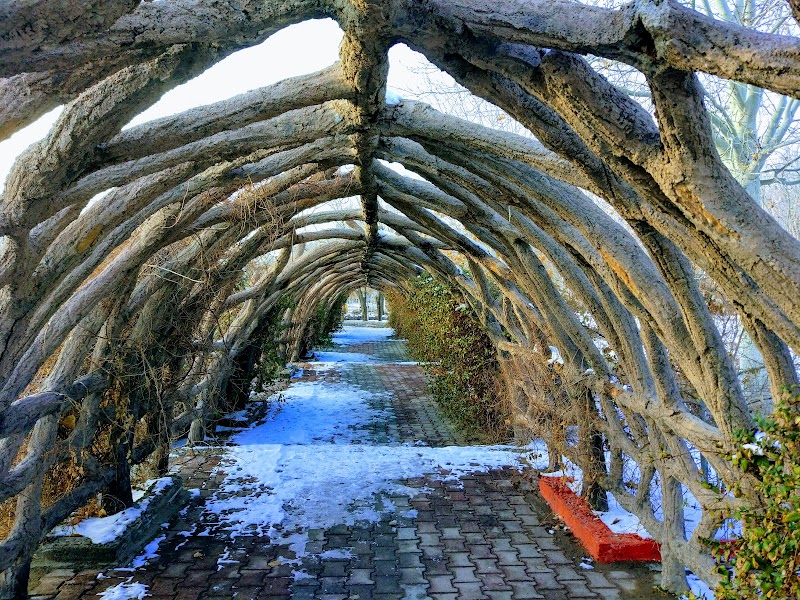 Baghmisheh Forest Park Tabriz - Day Spa in Tabriz