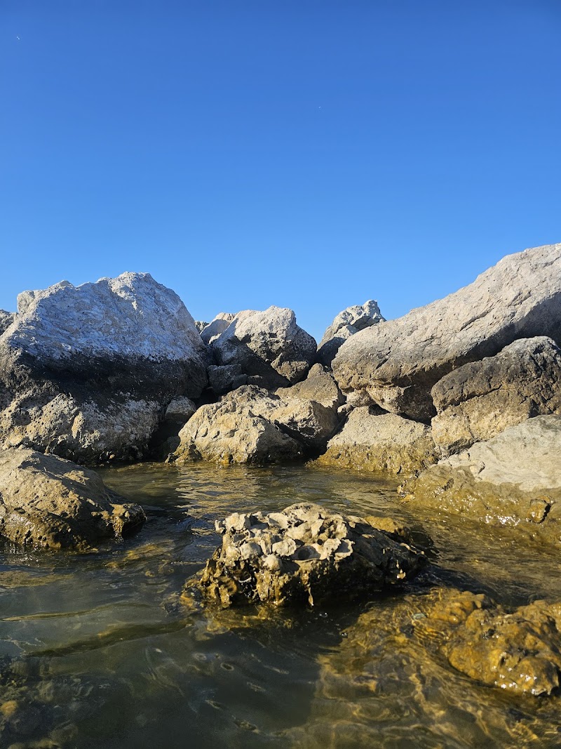 Bagni Playa Tamarindo di Viserba N. 29-33 Rimini - Thermal Spa in Rimini