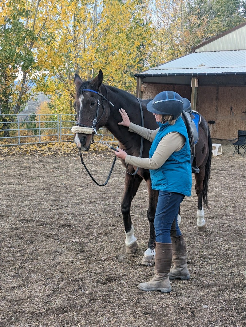 Balanced Equine Sports LLC Sheridan - Day Spa in Sheridan