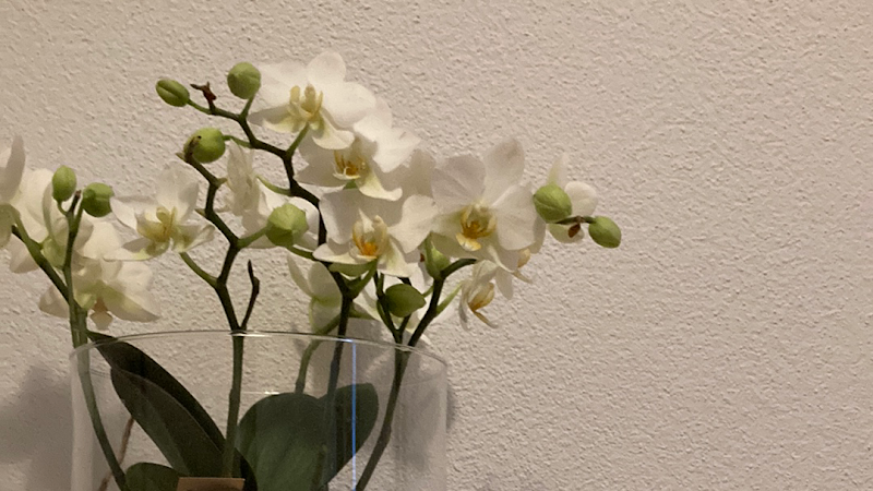 Bali SPA Ipsach - Day Spa in Ipsach