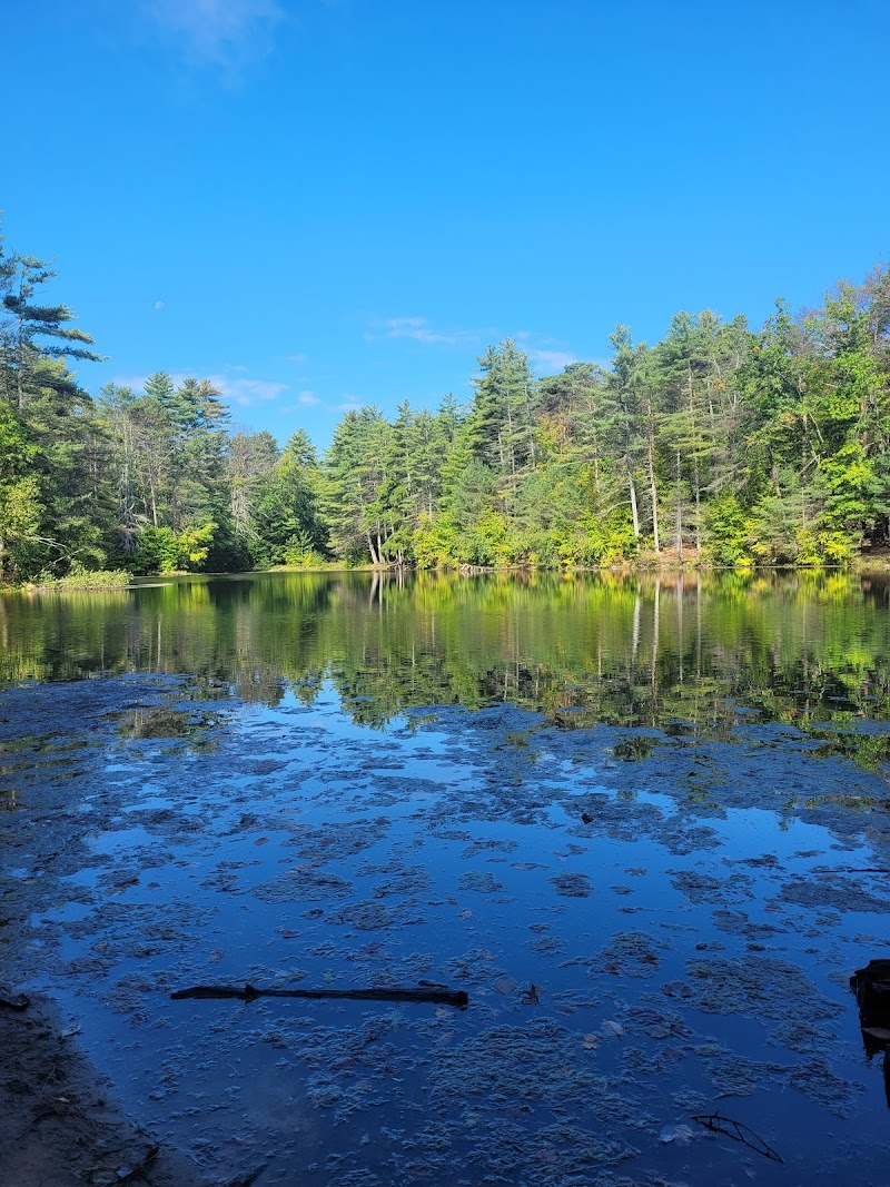 Ballston Spa Reservoir - Day Spa in Ballston Spa