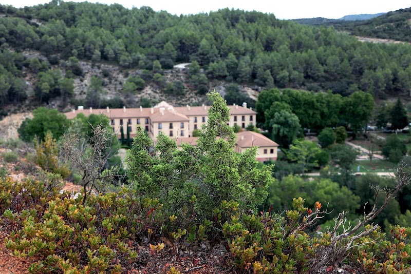 Balneario Carlos III Trillo - Day Spa in Trillo