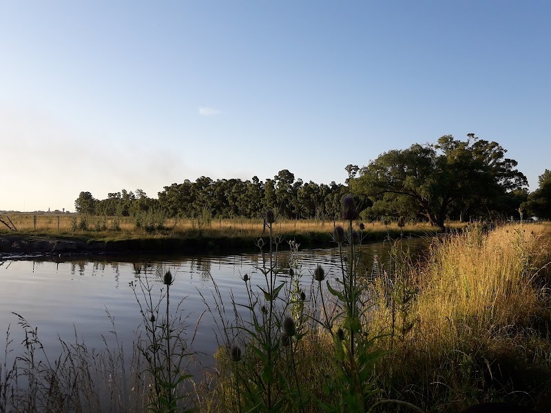 Balneario De Gral Alvear General Alvear - Day Spa in General Alvear