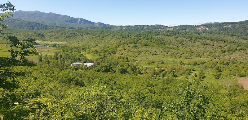 Balneological Resort Ujarma Sagarejo - Resort Spa in Sagarejo