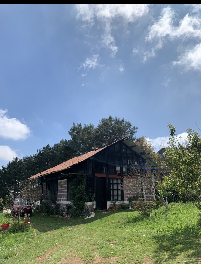 Bambú Temazcal Los Reyes de Salgado - Day Spa in Los Reyes de Salgado
