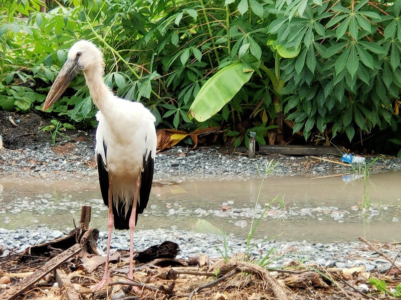 Ban Mon Pa Mok - Day Spa in Pa Mok