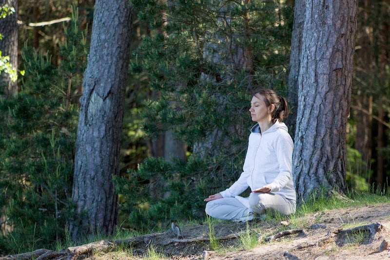 Banff Wellness Retreat