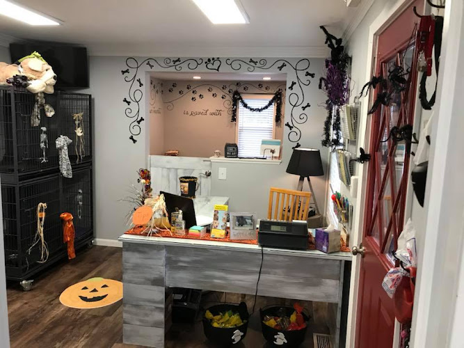 Barking Pet Lounge Yangon - Day Spa in Yangon