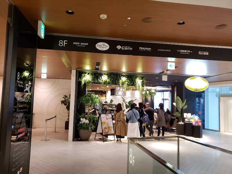 Bear Hug Kashiwa Takashimaya Station Mall Store Kashiwa City - Day Spa in Kashiwa City